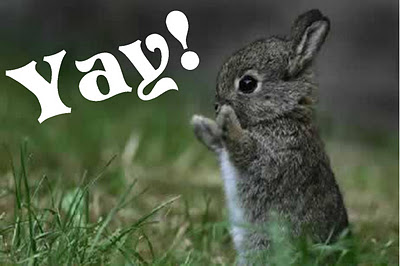 yay-bunny.jpg