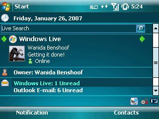 wm6-pro-home-screen.jpg