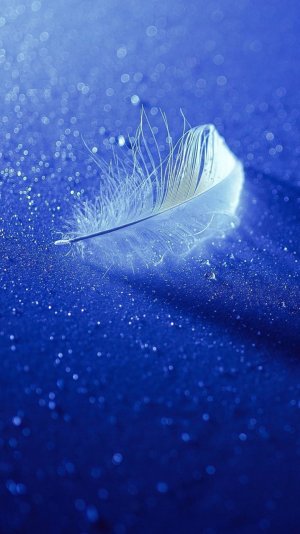 feather-blue-wallpaper.jpg