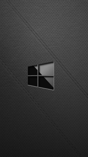 Win 10 logo on light leather background.jpg