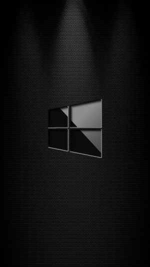 Win 10 Logo on carbonfiber.jpg