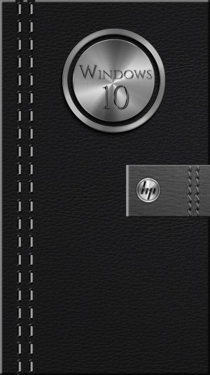 HP & Win 10 metal logo on black leather case background.jpg