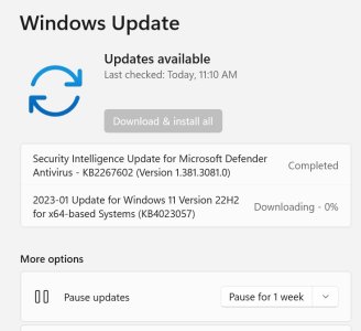 Windows Update Info.jpg