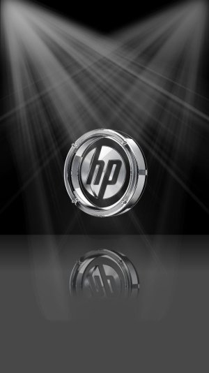 HP retro metal logo reflection.jpg