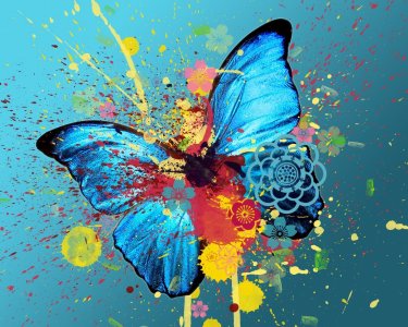 Butterfly_abstract_wallpaper.jpg