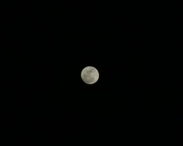 moon9.jpg