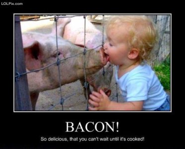 joke-funny-photo-Bacon.jpg