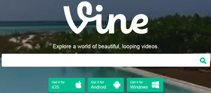 vine.png