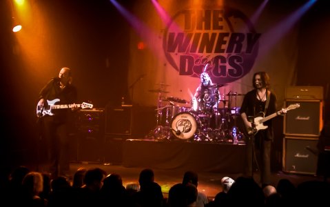 winerydogs-3.jpg