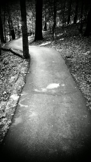 Path_Camera360.jpg