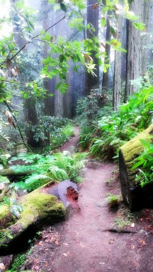 WP_20130716_020.jpg WP_20130716_020.jpg