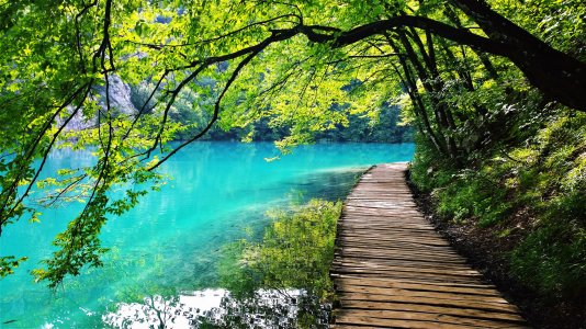 The Beauty of Plitvice.jpg