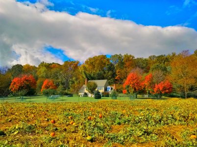 2014_10_18_13_40_14_HDR(3).jpg