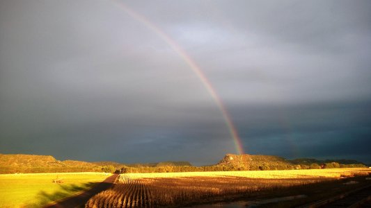 Fall Rainbow 2014.jpg