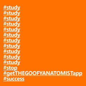 #study#study.png