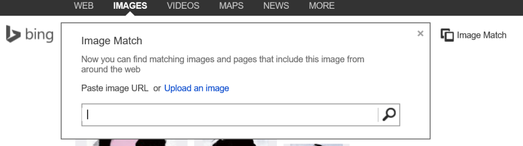 image-search2.PNG