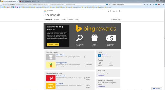 bing.JPG