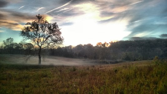 10-28-14 Sycamore Sunrise HDR.jpg