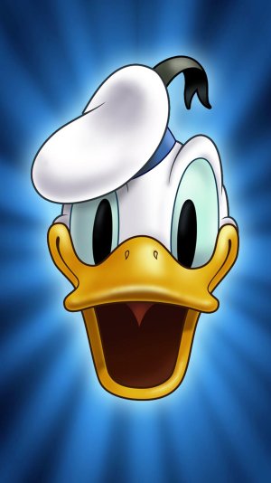 Cute-Cartoon-Donald-Duck-Face-iphone-6-wallpaper-ilikewallpaper_com.jpg
