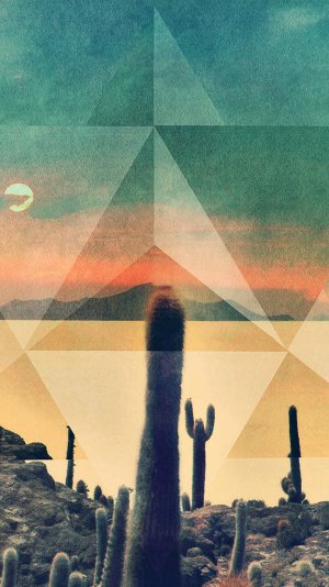 Desert-Drought-Cactus-Rhombus-Cover-Art-iphone-6-wallpaper-ilikewallpaper_com.jpg