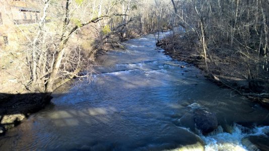 creek1.jpg