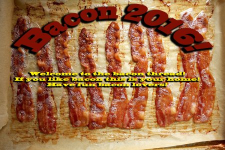Bacon 2016.jpg