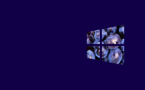 Windows10 Flag Purple Grapes.jpg