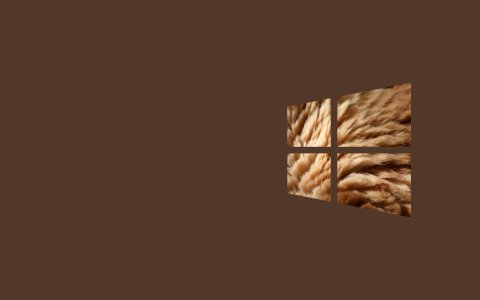 Windows10 Flag Tan Fur.jpg