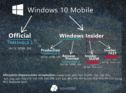 win-10-mobile-builds.jpg