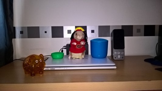 Indoor Desk, Poor Light, FLASH.jpg Indoor Desk, Poor Light, FLASH.jpg