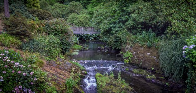 WP_20160810_15_48_27_Rich__highres.noflash-Pano-19.jpg