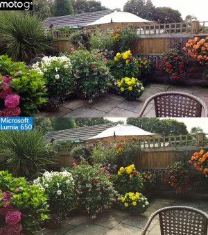 Garden 1.jpg Garden 1.jpg