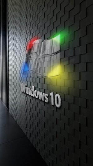 Windows glass logo on fancy wall.jpg
