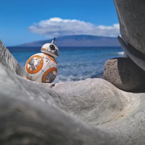 BB8 Maui.jpg