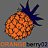 OrangeBerry02
