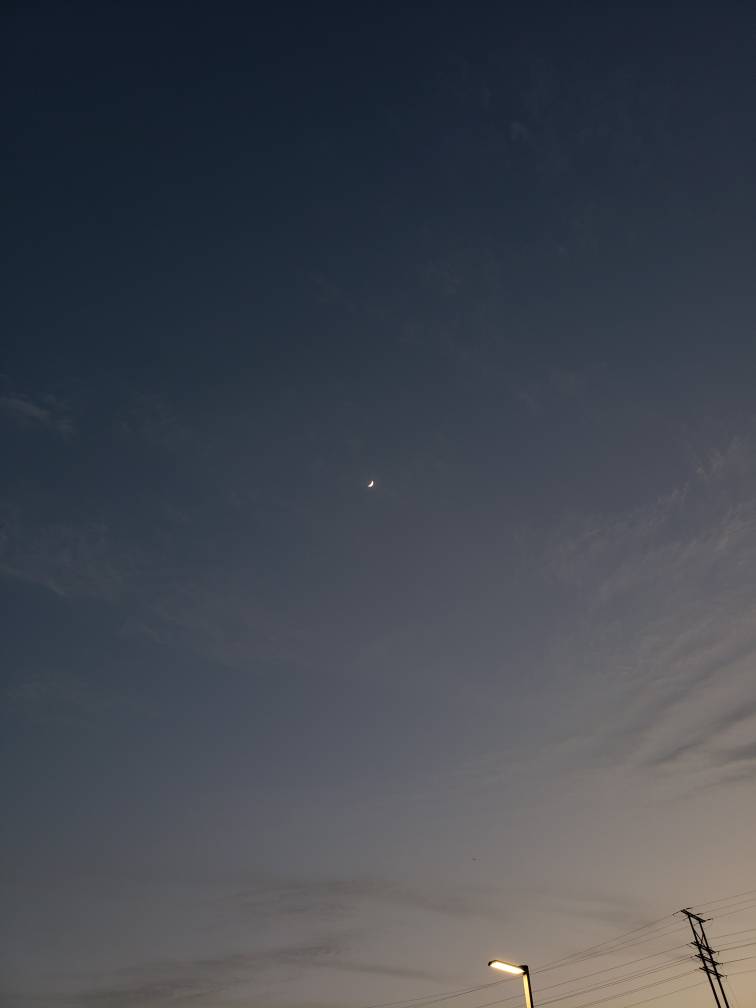 7d1577c0a22194333bda1f0b38b8ae6f.jpg