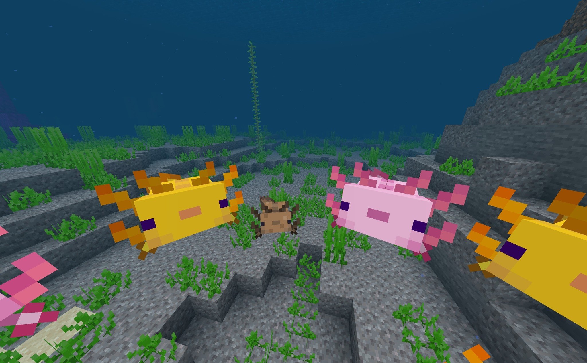 minecraft-caves-and-cliffs-update-axolotl-10.jpg