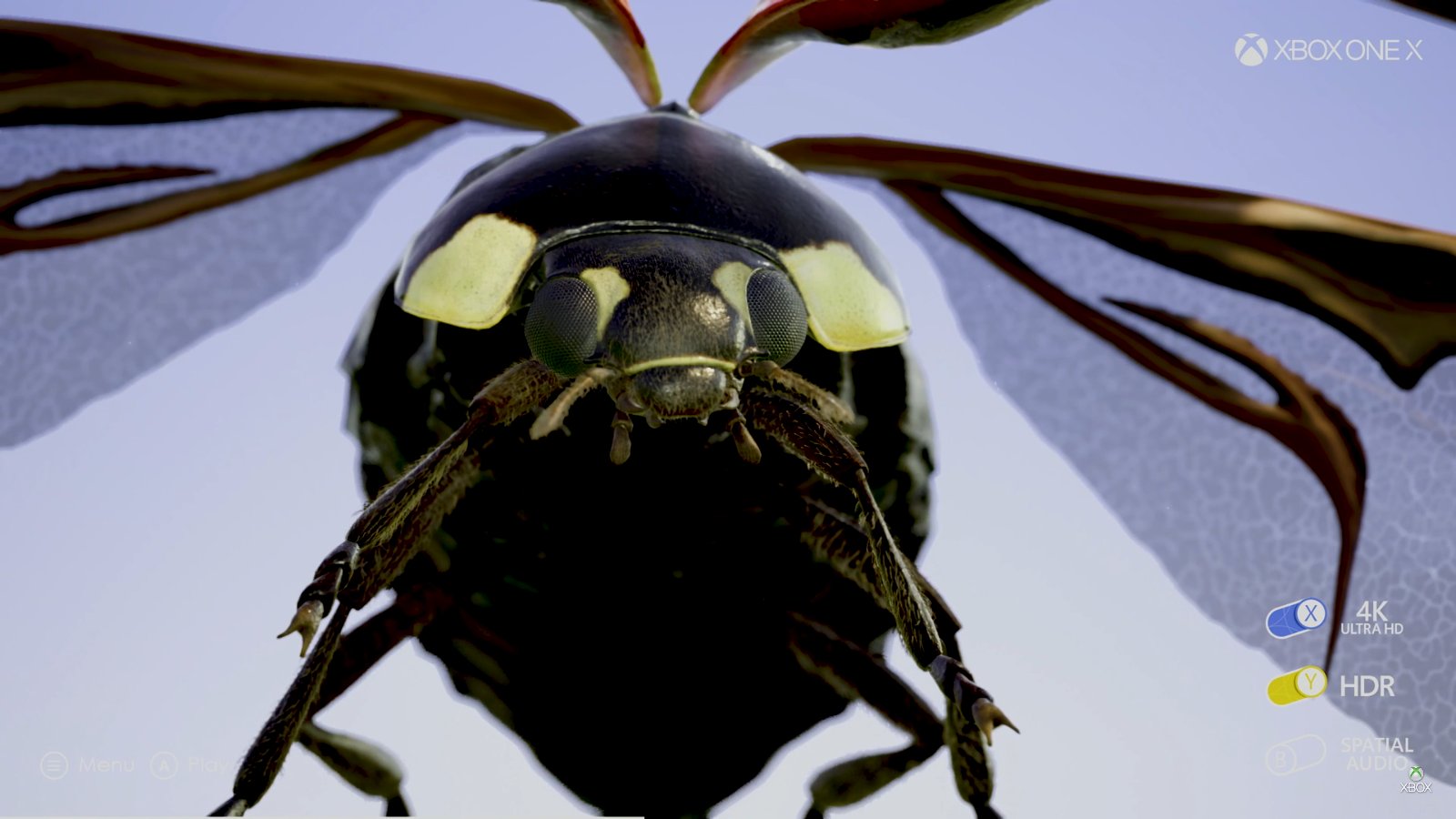 xbox-one-x-4k-insect.jpg