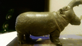 beb6ecacba72afd8423d24304a138530.gif