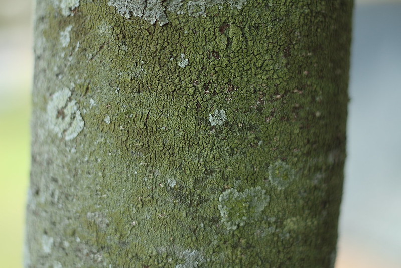 9478991195_7e16792b29_c.jpg
