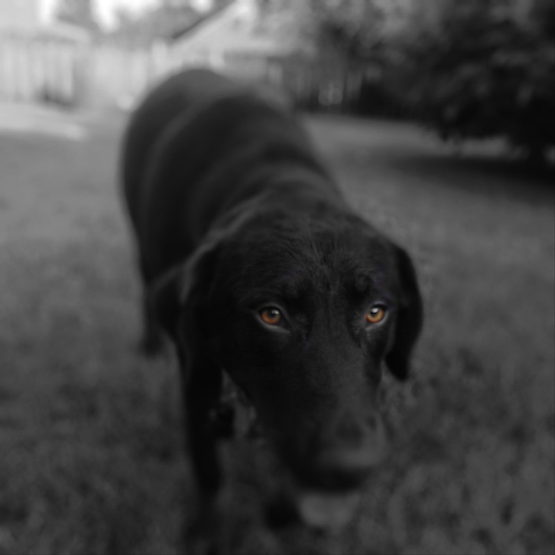 9441882679_d5239b328c_c.jpg