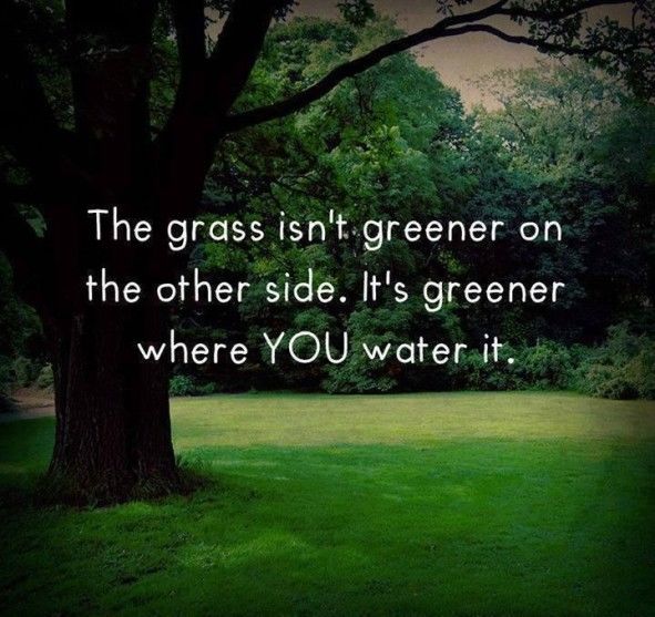 200127-The-Grass-Is-Greener-Where-You-Water-It.jpg