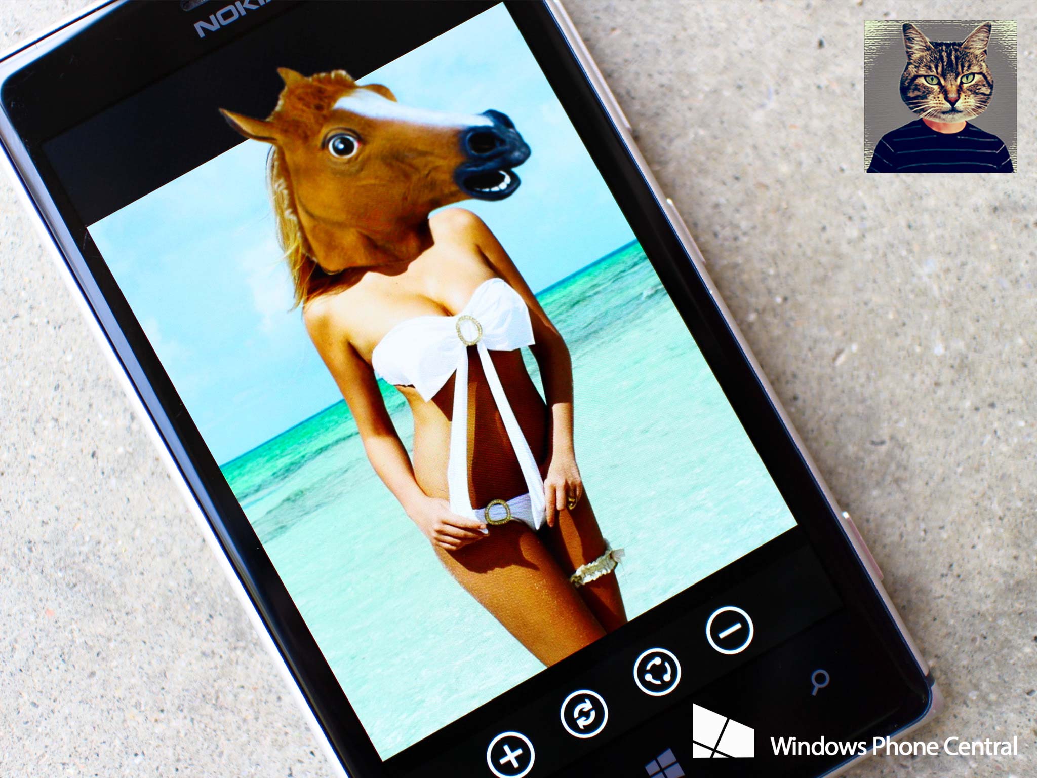 Animal_Face_Windows_Phone.jpg