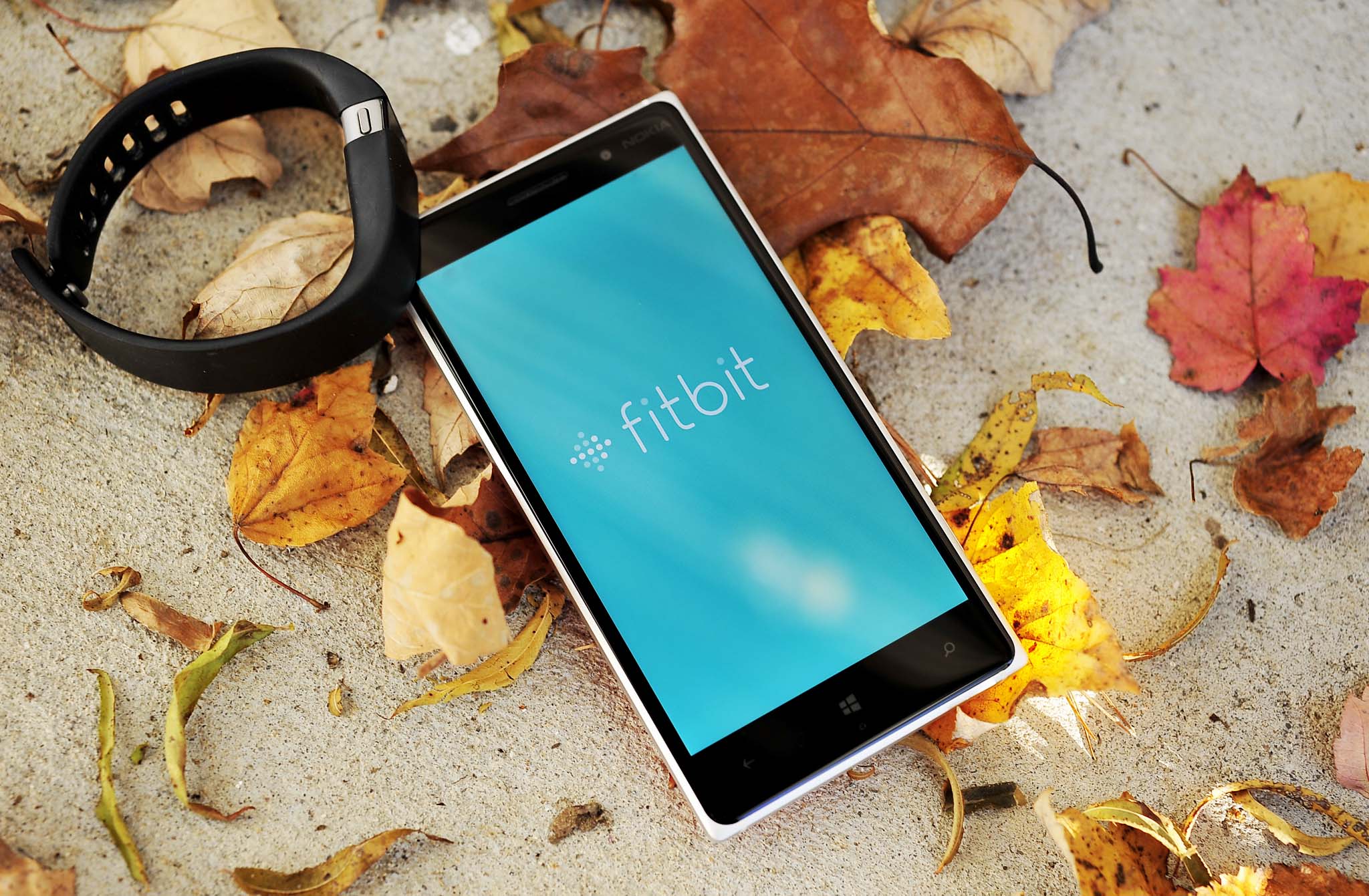 Fitbit_new_photo_lede.jpg