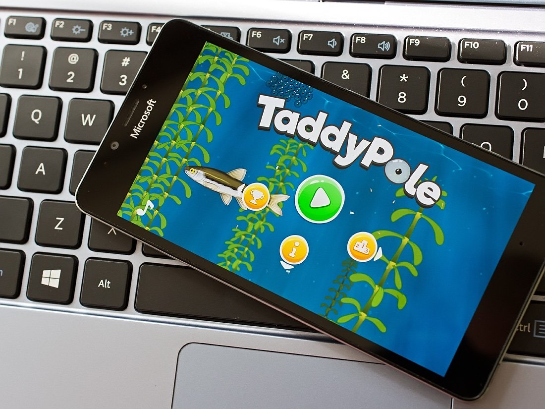 TaddyPole-Lead.jpg