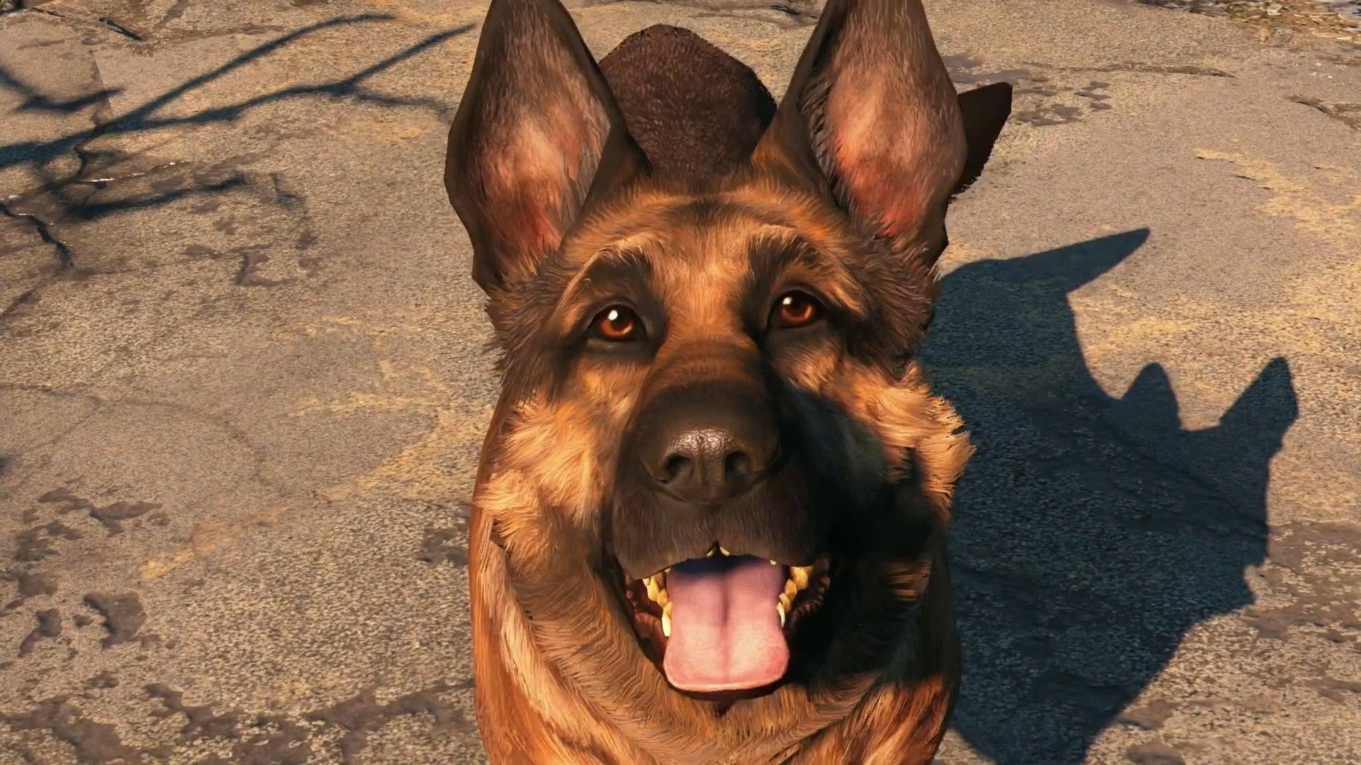 fallout-4-dogmeat.jpg