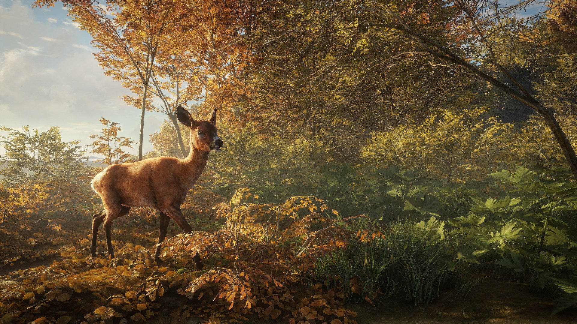 screenshot-roe-deer-female.jpg