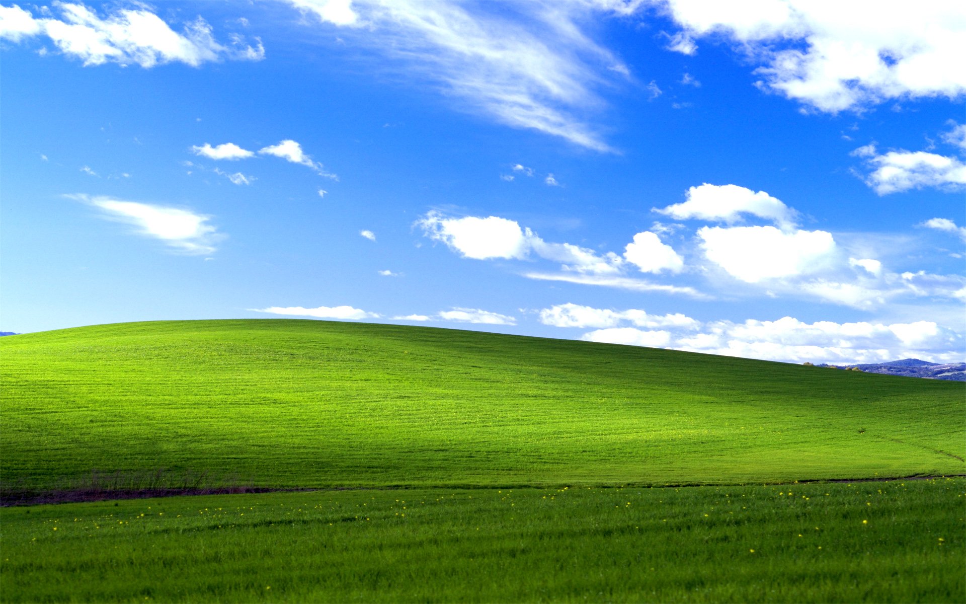 windows-xp-bliss.jpg