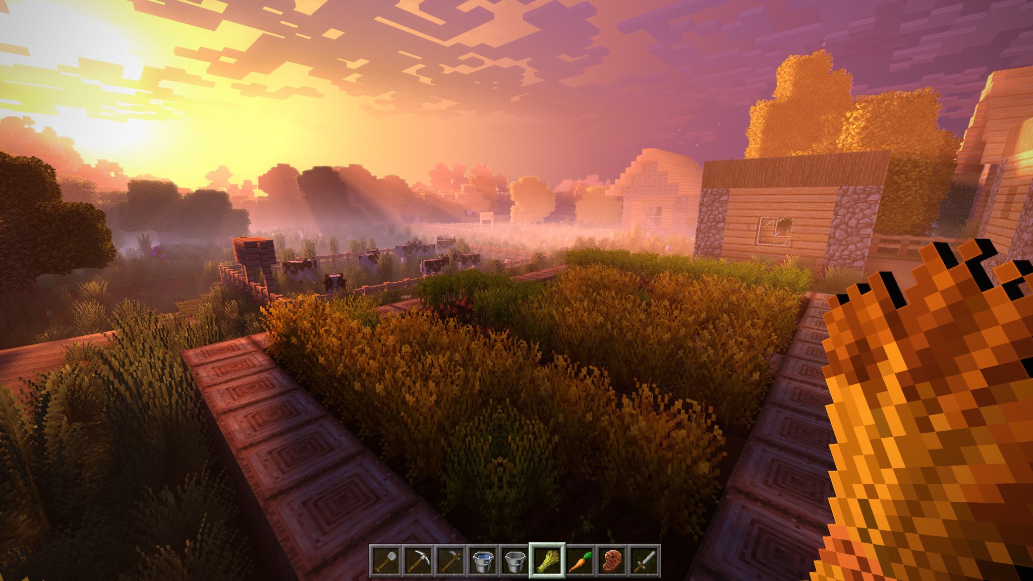 minecraft_sunset_cows.jpg