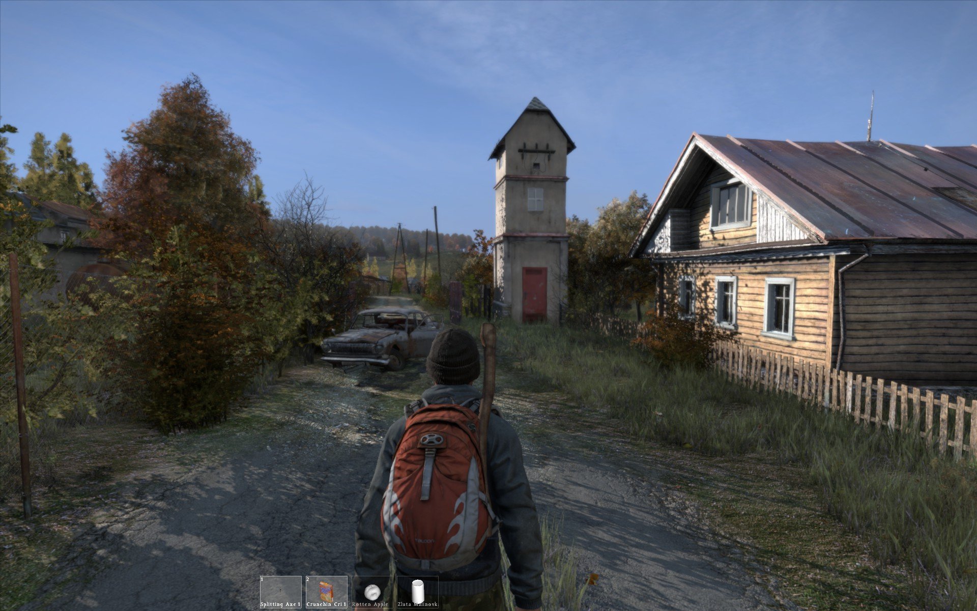 dayz-screenshot.jpg